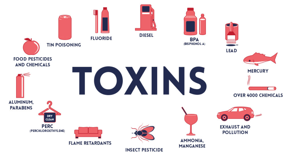 TOXINS & TOXICANTS | INSULEAN