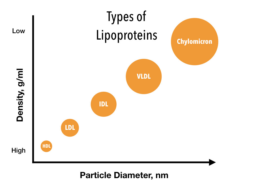 Lipoprotein Types INSULEAN